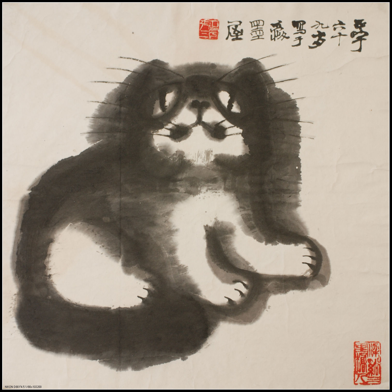 张正宇《猫》十二34x34